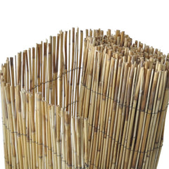 Reed fence 59.1"x196.9"