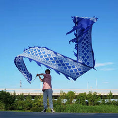 3D Colorful Dragon Silk-Like Flowy Spinning & Shaking Poi - Flinging The Dragon Spiral Practice Ribbon Streamer with Fiberglass Handsticks + Travel Bag!