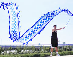 3D Colorful Dragon Silk-Like Flowy Spinning & Shaking Poi - Flinging The Dragon Spiral Practice Ribbon Streamer with Fiberglass Handsticks + Travel Bag!